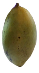 Jarman Mango