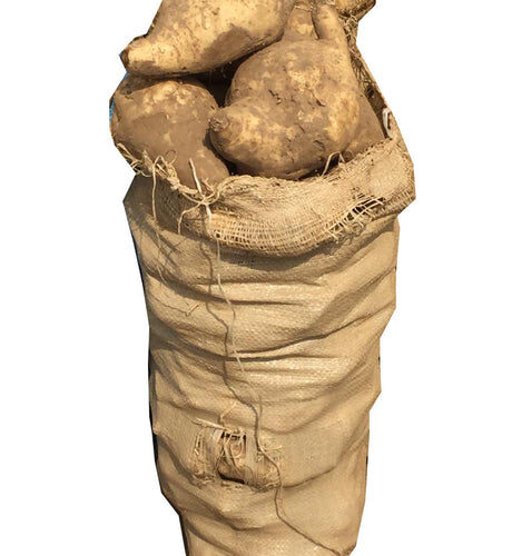 Sweet Potato - Quarter Bag