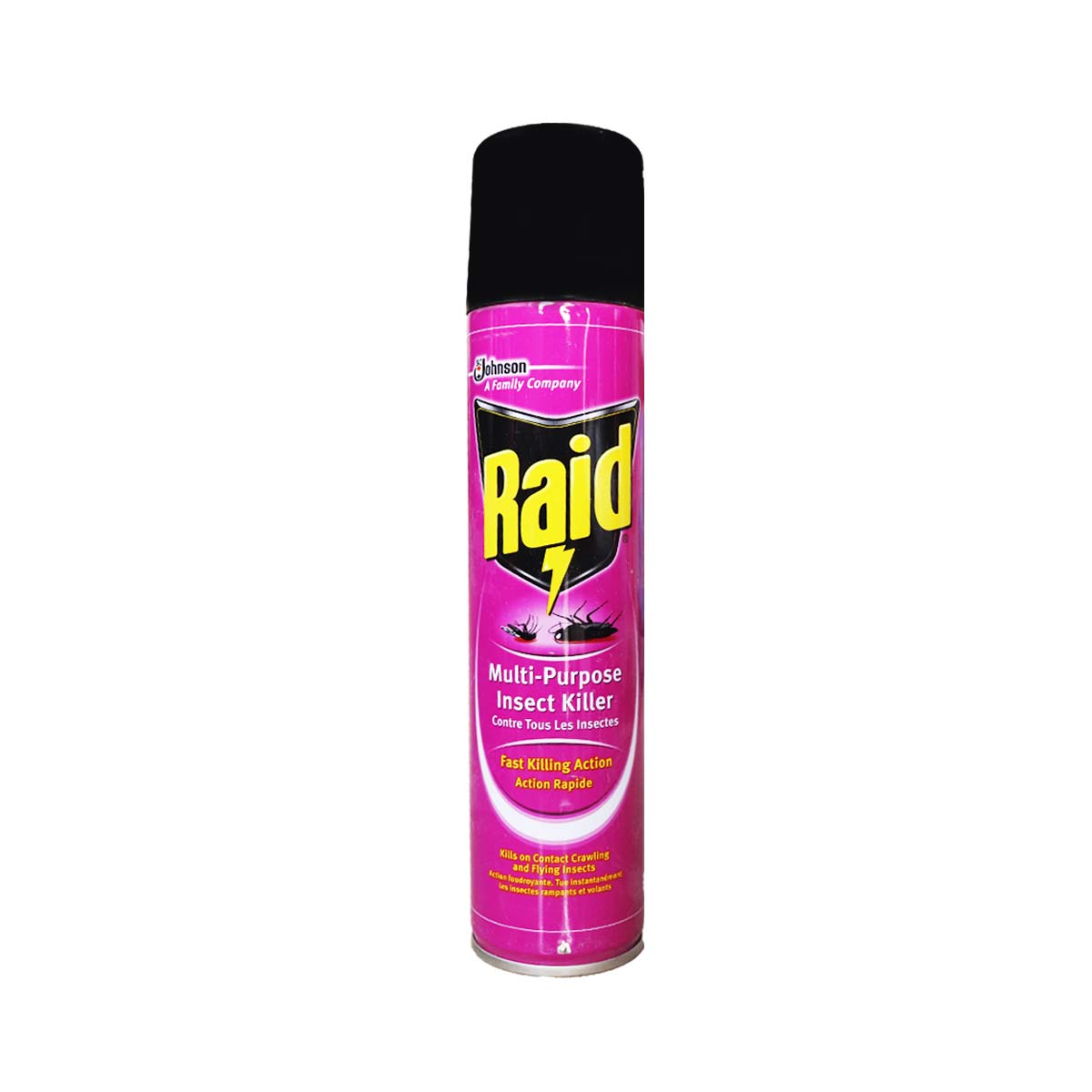 Raid Insecticide 600ml