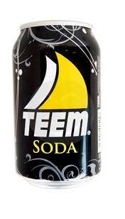 Teem Soda Water 33cl Can